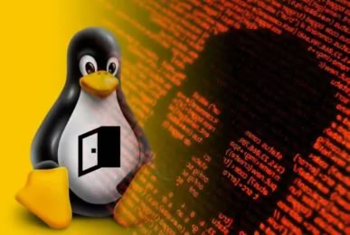 Hackers implantam novo malware no Linux e web skimmer em servidores de comércio eletrônico