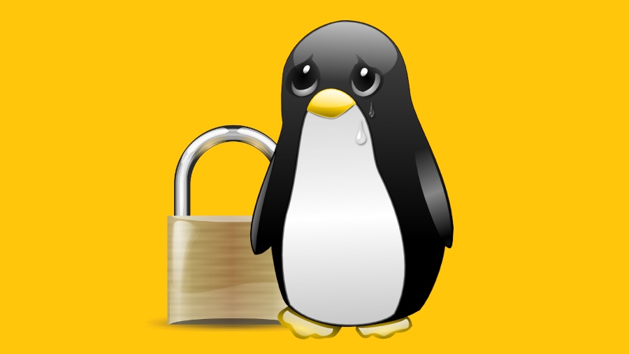 Kernel do Linux anterior à versão 5.0.8 é vulnerável à execução remota de código