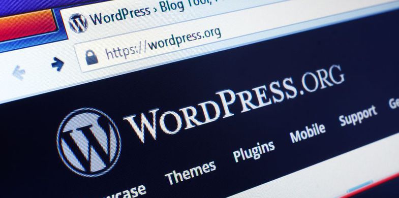 Vulnerabilidade crítica em mais um plugin Wordpress